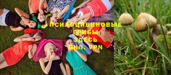 МДПВ Горнозаводск