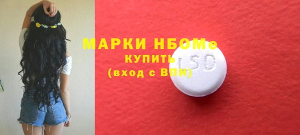 соль ск Вяземский